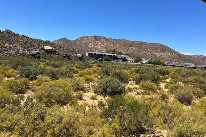 Full day Aquila Game Reserve Big 5 Safari with Wine Tasting Tour - Fairview wine and cheese in Paarl