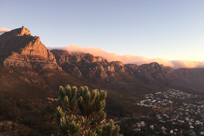 Full-Day Best of the Cape, Peninsula, Cape Point and Stellenbosch Tour - Stellenbosch and a proper change of pace