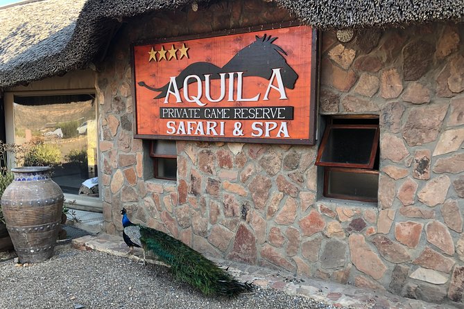 Full Day Big 5 Aquila Safari Private Transfers Including Park Fee From Cape Town - What the $345 price really buys you