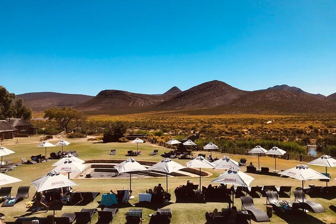 Full Day BIG 5 Private Tour of the Aquila Game and Wine testing - Leaving Cape Town at 6:00 am
