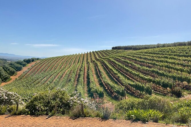 Full Day BIG 5 Private Tour of the Aquila Game and Wine testing - The shared 4 x 4 drive and what the price really covers