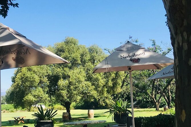 Full Day BIG 5 Private Tour of the Aquila Game and Wine testing - Who will enjoy this tour most?