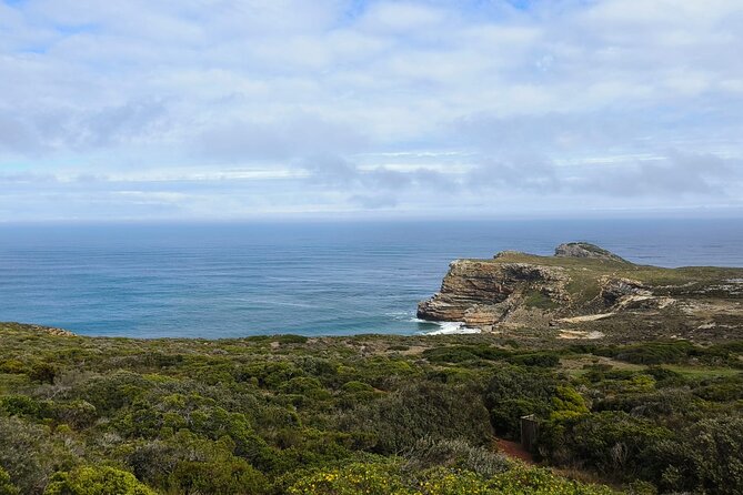 Full Day Cape of Good Hope and Boulders Beach Penguins Tour - The ostrich farm adds an unexpected wildlife stop