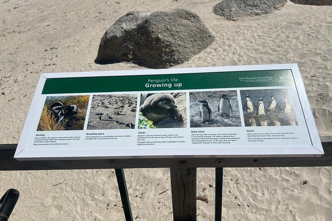 Full-Day Cape of Good Hope and Table Mountain with Penguins Tour - Cape Point and the old lighthouse