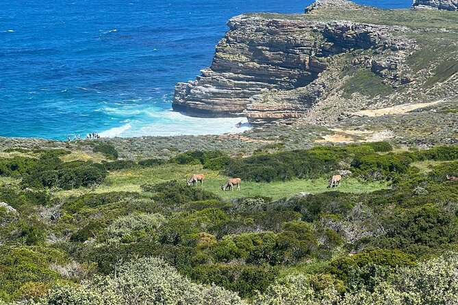 Full-Day Cape of Good Hope and Table Mountain with Penguins Tour - The Cape of Good Hope viewpoint and photo queue