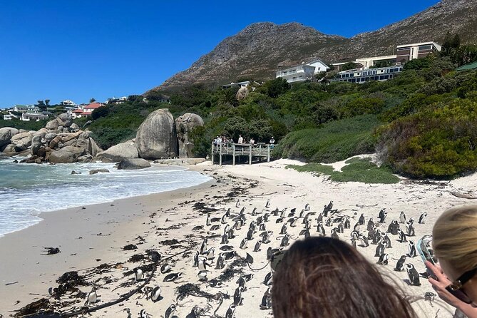 Full-Day Cape of Good Hope and Table Mountain with Penguins Tour - What the private format changes