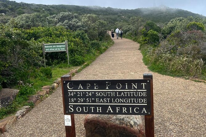 Full-Day Cape of Good Hope and Table Mountain with Penguins Tour - Table Mountain: two hours above the city