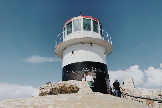 Full Day Cape of Good Hope-Cape Point Group Tour from Cape Town - Hout Bay and the optional Seal Island trip