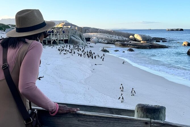 Full Day Cape Peninsula, Bo Kaap & Penguins Small Group Tour - Cape Point deserves the longest visit