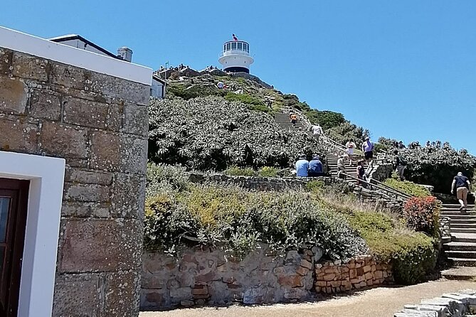 Full Day Cape Peninsula, Cape Point Tour - Boulders Beach and the African Penguins