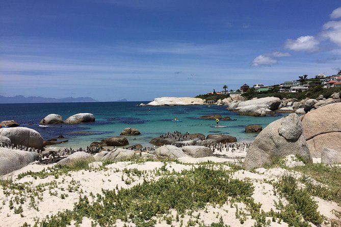 Full Day Cape Peninsula Motorcycle Tour on a Royal Enfield - How much value do you get for $285.70?