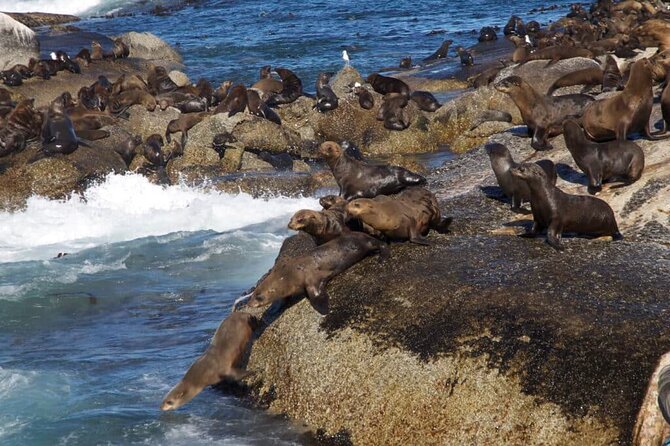 Full Day Cape Peninsula Tour - The False Bay coast on the way back