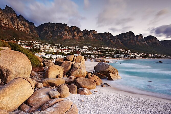 Full Day Cape Peninsula Tour - Who should take this tour?