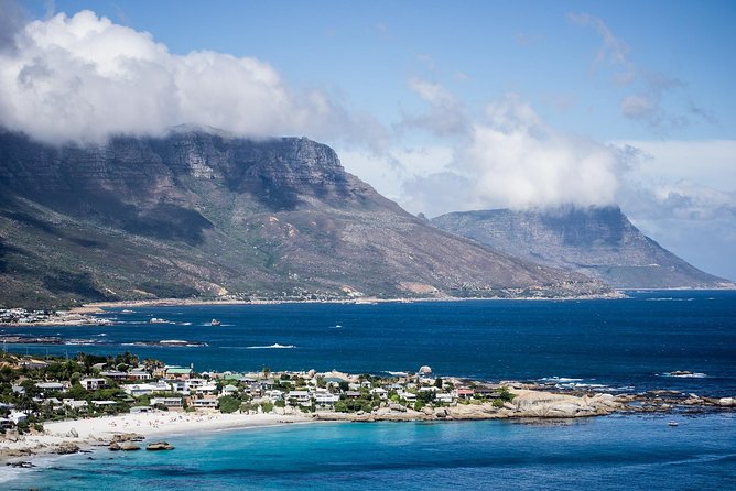 Full-Day Cape Peninsula Tour from Cape Town - Is $113.88 good value?