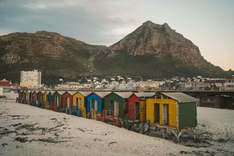 Full day Cape Penisula Tour: Chapman's Peak - Cape Point - Key points to know before booking