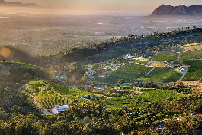 Full day Cape Point + Constantia Wine Tour with Private Transfer - Why this Cape Peninsula day makes sense