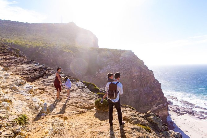Full day Cape Point + Constantia Wine Tour with Private Transfer - Meeting the African penguins at Boulders Beach