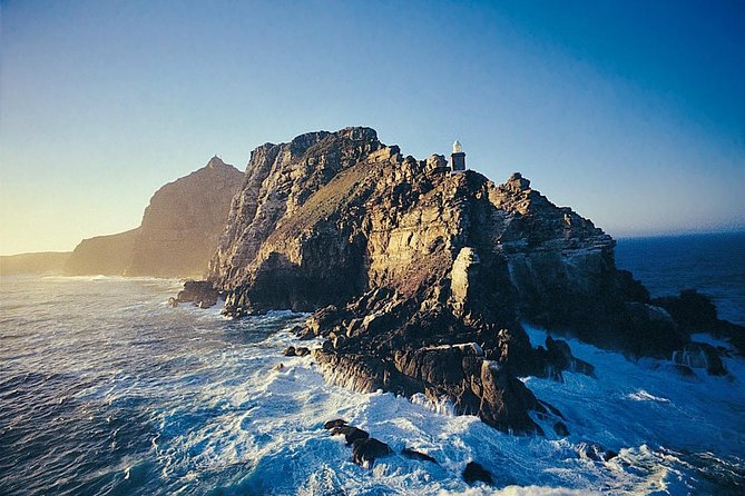 Full Day Cape Point Sightseeing Tour - Cape Point Nature Reserve and its wildlife