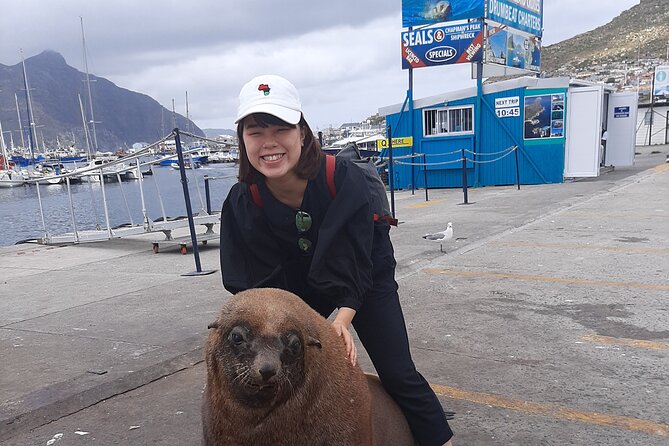 Full Day Cape Town Private Tour - Maiden’s Cove brings a short Atlantic pause