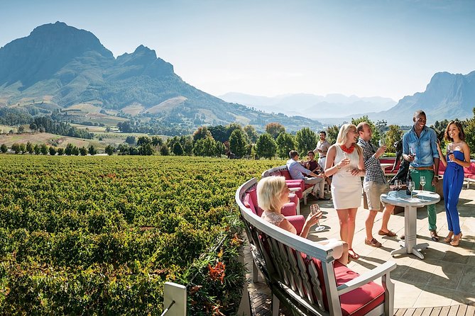 Full-Day Cape Town Private Transfers and Chauffeur Services - Choosing between the Mercedes and Toyota