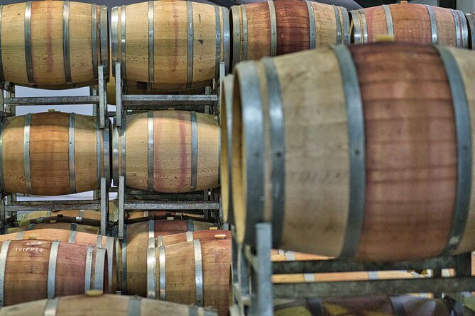 Full Day Cape Winelands Private Tour - La Petite Ferme turns lunch into a destination
