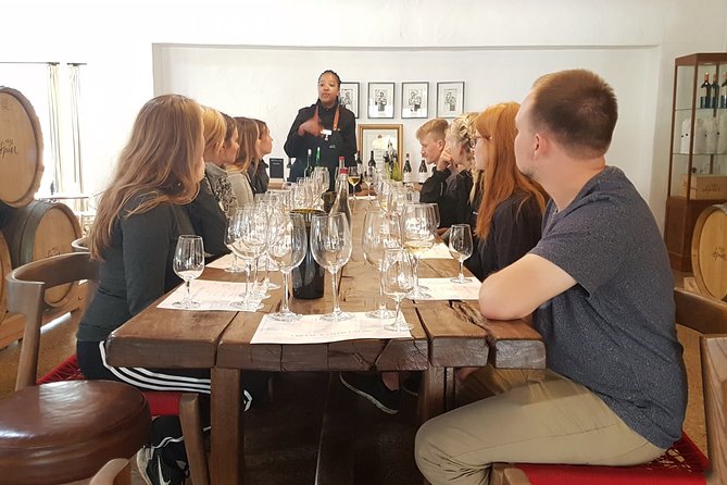 Full day Cape Winelands ( Stellenbosch and Franschoek ) - Why the drive matters as much as the wine