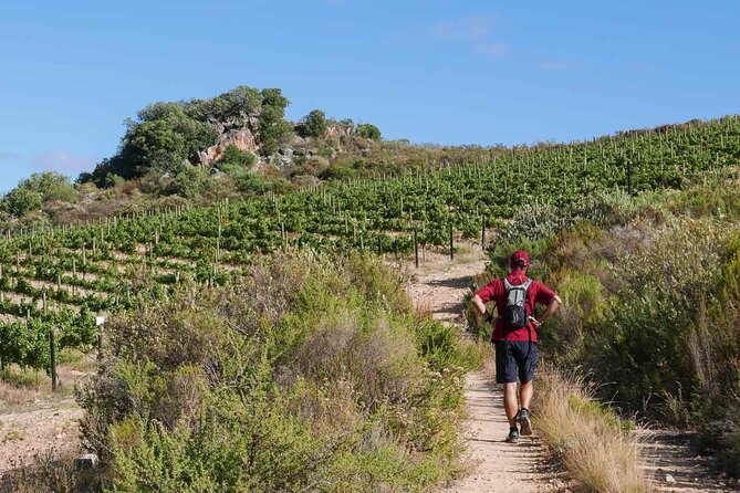 Full-Day Cape Winelands Tour - Six things to know before you book