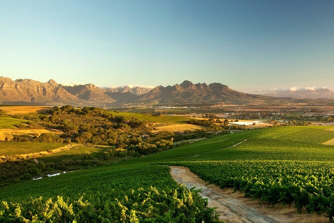 Full-Day Cape Winelands Tour - Franschhoek: French connections and the Wine Tram