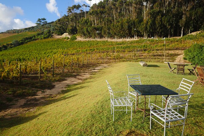 Full-Day Constantia Wine Tour from Cape Town - The guide can make or break the day