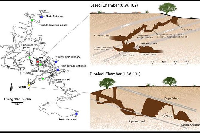 Full-Day Cradle of Humankind Guided Tour from Johannesburg or Pretoria - Why this area matters