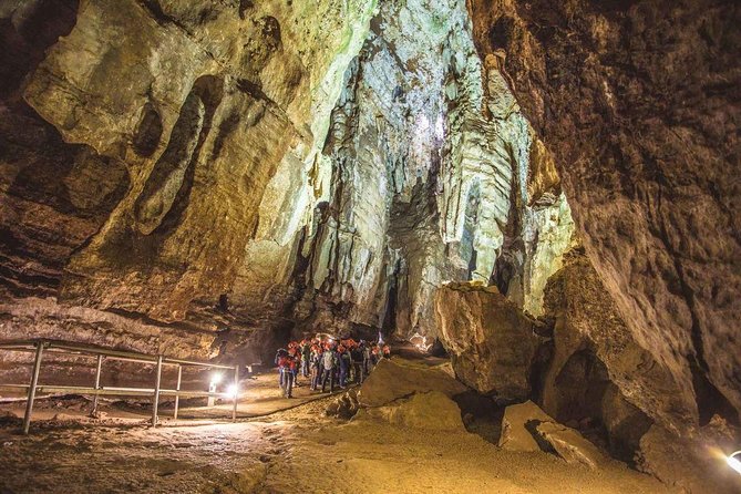 Full-Day Cradle of Humankind Guided Tour from Johannesburg or Pretoria - The guides are a major part of the value