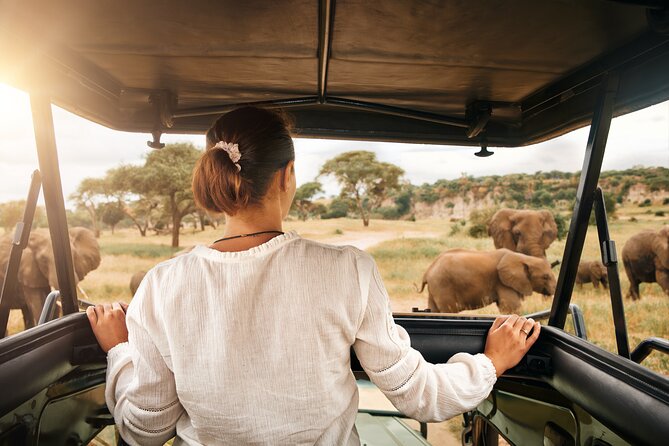 Full Day Exquisite Pilanesberg Safari from Johannesburg - Why Pilanesberg Works for a Johannesburg Safari
