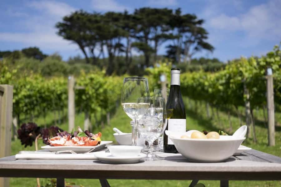 Full-Day Franschhoek tram Wine Tour from Cape Town - How to use your six hours well
