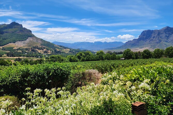 Full-Day Franschhoek Wine Tour from Cape Town - The views are part of the attraction