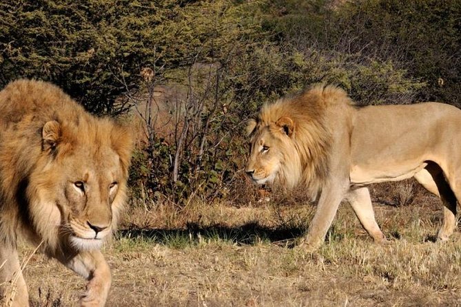 Full day - Hluhluwe Imfolozi Game Reserve 1 Day Tour From Durban - The 5:00am Durban pickup