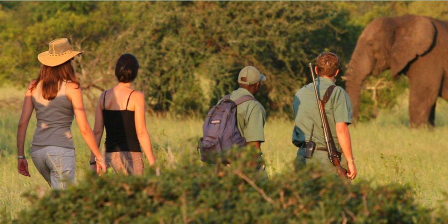 Full Day Hluhluwe Imfolozi Game Reserve Tour from Durban - What the guides add to the day