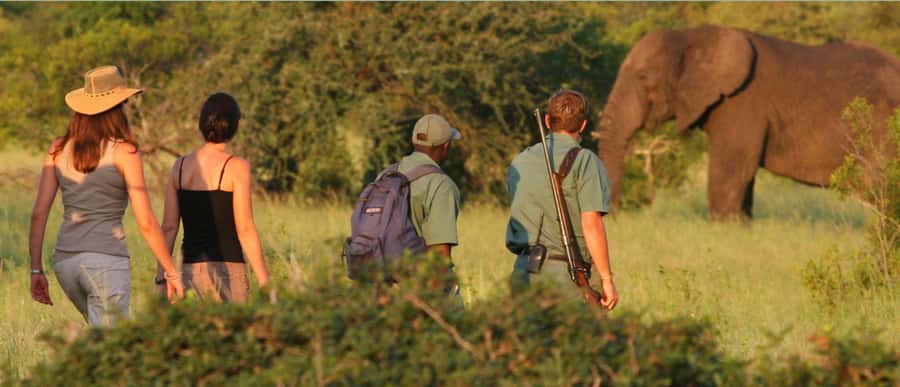 Full Day Hluhluwe Imfolozi Game Reserve Tour from Durban - Is $226 good value for a full safari day?