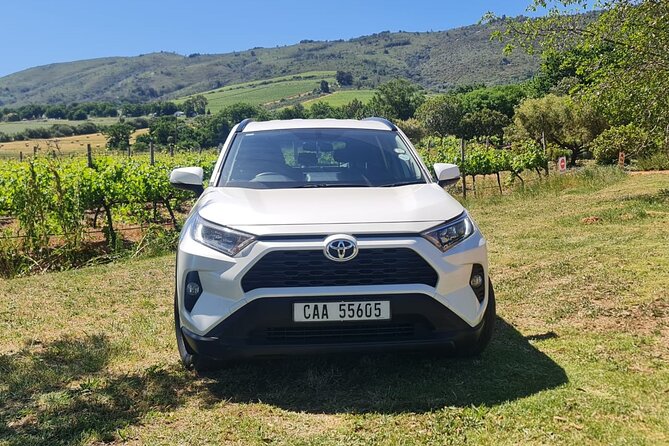 Full Day In Private Car Chauffeur Drive Service in Cape Town - Cape Peninsula, Boulders Beach, and Cape Point