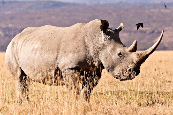 Full Day Isimangaliso Wetlands & Boat Cruise Tour from Durban - The Dukuduku Gate game drive