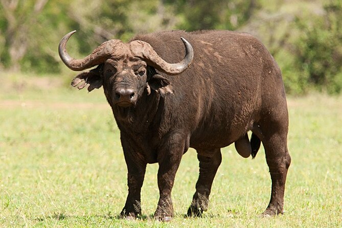 Full Day Isimangaliso Wetlands & Boat Cruise Tour from Durban - Who will enjoy this tour most