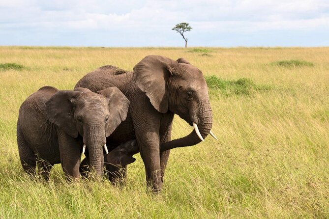Full Day Isimangaliso Wetlands Park -Croc & Hippo &Game Fr Durban - Two hours on the St Lucia Estuary