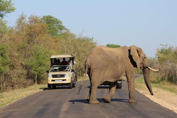Full Day Kruger Park Safari From Hazyview - Final Verdict: A Strong One-Day Kruger Choice