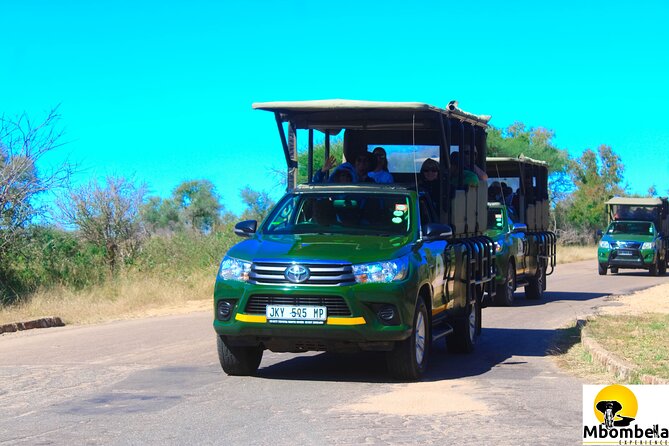 Full-Day Kruger Park Safari from Nelspruit, Whiteriver or Hazyview - Searching for elephants, lions, rhinos, buffalo, and leopards