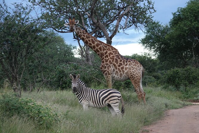 Full Day Kruger Park Wildlife Safari from Hoedspruit - Entering Kruger National Park in an open 4x4