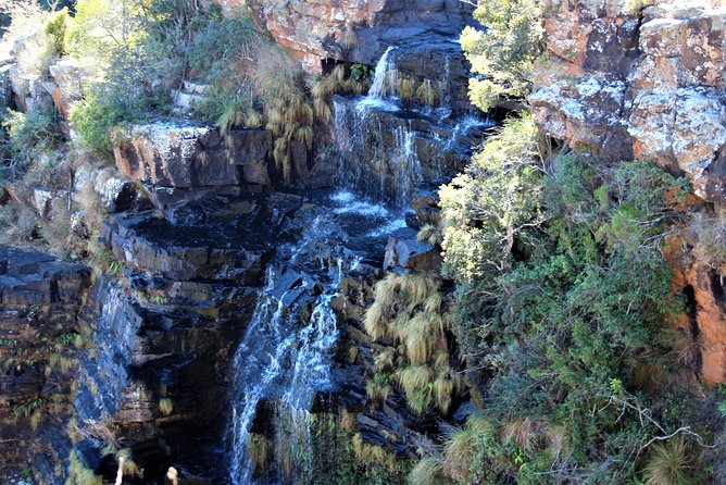 Full Day Panorama Guided Tour from Hazyview - The Graskop lunch stop