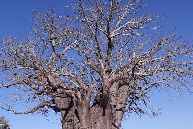 Full Day Panorama Hike and Scenic Tour minimum 2 people - Blyde River Canyon is the visual high point