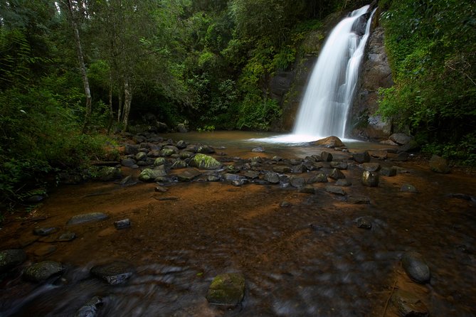 Full-Day Panorama Tour from Hazyview - What the guide adds to the experience
