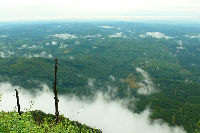 Full-Day Panorama Tour from Hazyview - Price and value at $140.81 per person