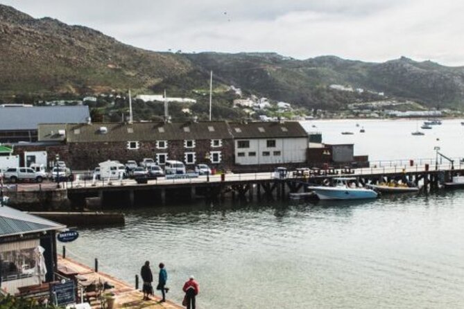 Full Day Peninsula Tour - What the guides add to the experience