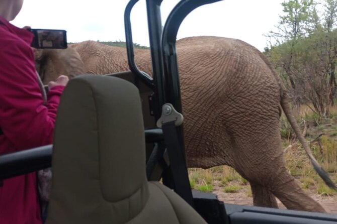 Full Day Pilanesberg Experience in Open Vehicle - Why Pilanesberg works for a one-day safari
